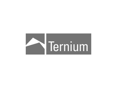 Home logo ternium ok